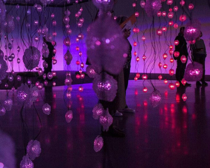 Papilotti Rist. Courtesy of MCA