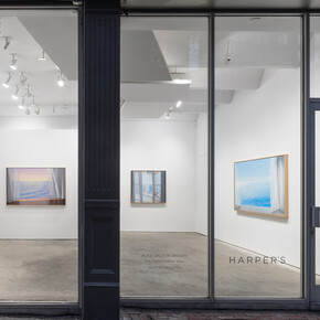 Alice Dalton Brown, The contemplative view, exhibition view. Courtesy of Harper’s Gallery