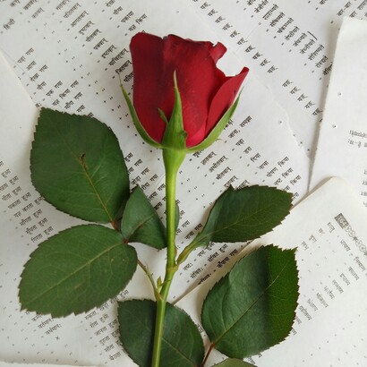 L'amore tra Romeo e Giulietta appare meno come un sentimento autentico che come l'intreccio di due infatuazioni irrisolte, alimentate dall'immaginazione, dal desiderio e dalla fascinazione reciproca
