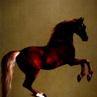 George Stubbs "Whistlejacket" (1762)