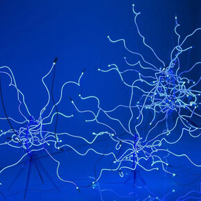 Chihuly. Courtesy of Groninger Museum