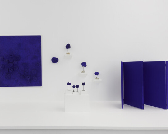 Yves Klein, Exhibition view. Courtesy of MUAC