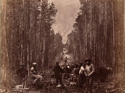 Into the Woods. Courtesy of Victoria and Albert Museum