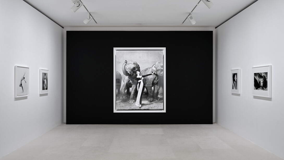 Richard Avedon,
Iconic Avedon: A Centennial Celebration of Richard Avedon, 2024, installation view,
© The Richard Avedon Foundation.
Photo: Thomas Lannes.
Courtesy Gagosian