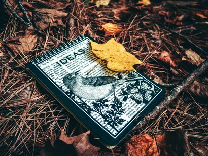 Caderno aberto no meio da natureza, rodeado por elementos orgânicos e silêncio. Ideias não precisam ser perfeitas, apenas precisam acontecer