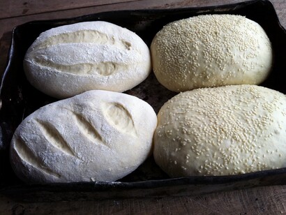 Pão na forma