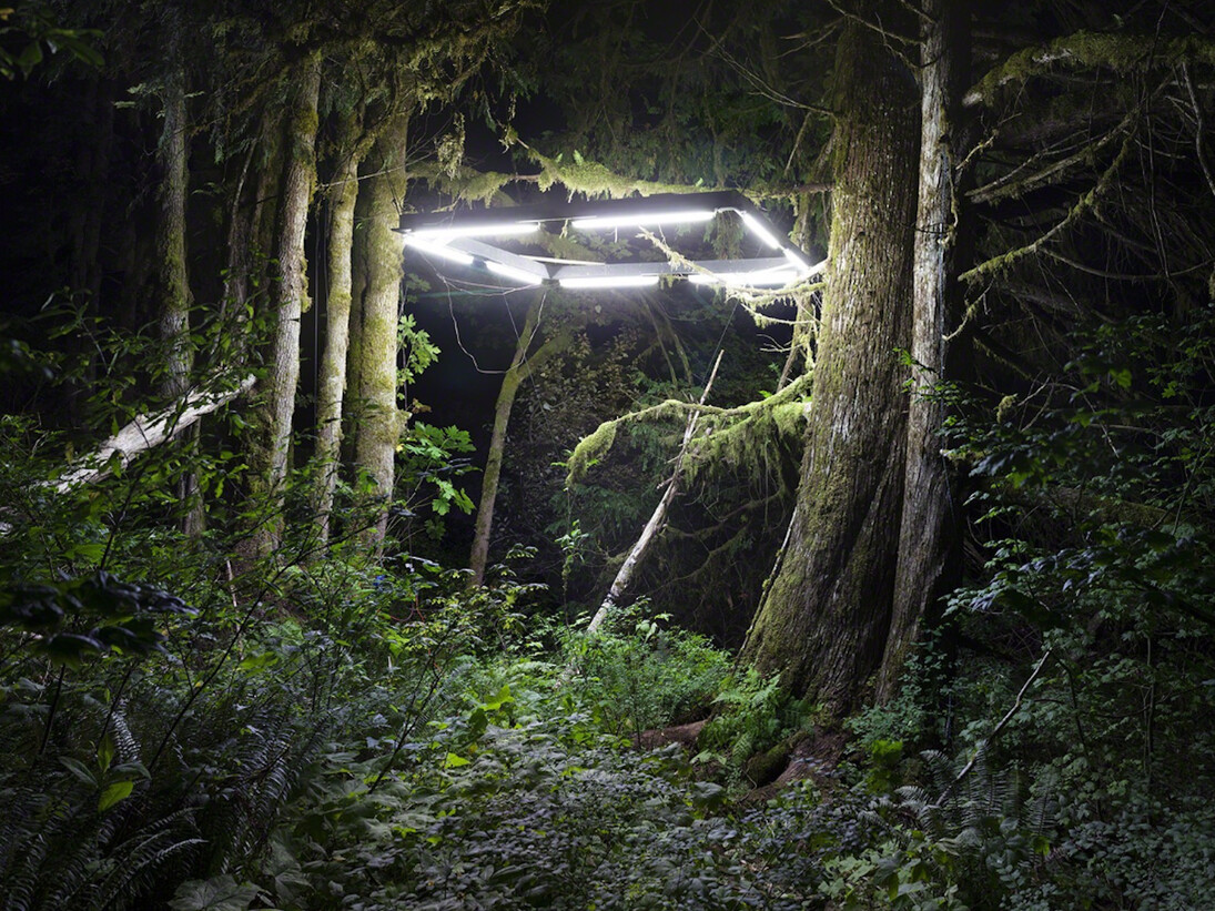 Chris Engman, Shelter, 2016. Courtesy of Luis De Jesus Los Angeles