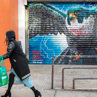 Audubon’s Birds of America Focus Gallery. Courtesy of New-York Historical Society