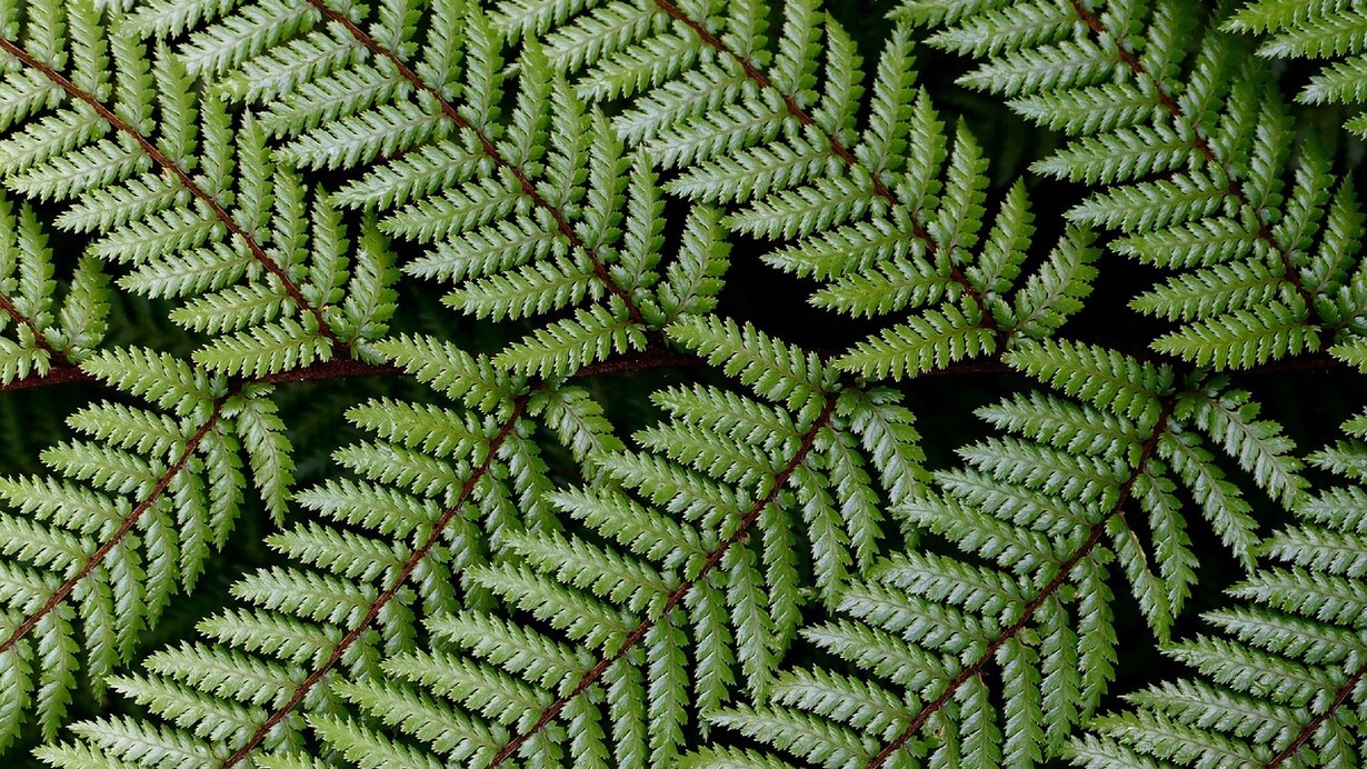 Green finance is created to ensure a better environmental outcome