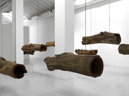 Roberto Pugliese, Concerto per natura morta, 2014