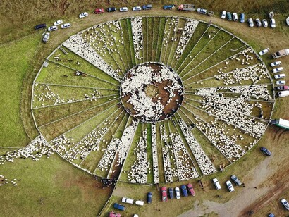 The ring for the sorting