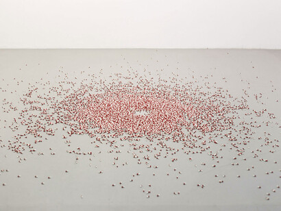 Carsten Höller, Turn, fly, fall, fly, exhibition view. Courtesy of Galerie Micheline Szwajcer