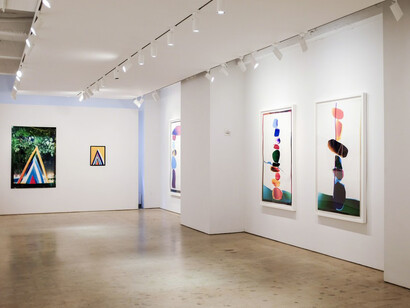 Liz Nielsen's HotSpots. Courtesy of Danziger Gallery