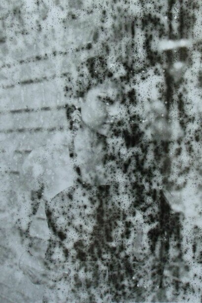 Ziad Antar - Haifa Wehbe(2005), Silver print