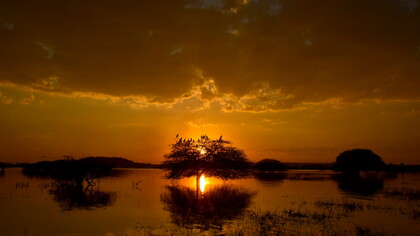 Nature has its own agency and rights, and must be respected for humanity to re-establish ecological harmony © Ashish Kothari