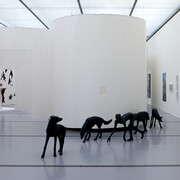 Touch nature, exhibition view. Courtesy of Lentos Kunstmuseum