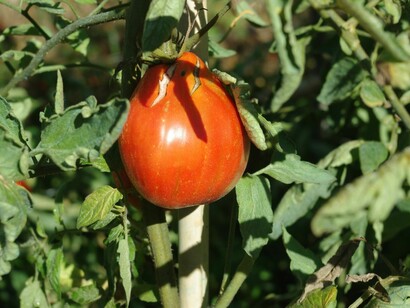 I colori dell'estate