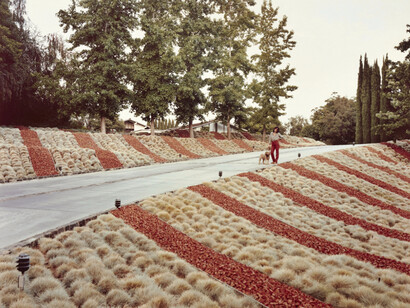 Joel Sternfeld, Beverly Hills, California, May 1979. Courtesy of Huxley-Parlour Gallery