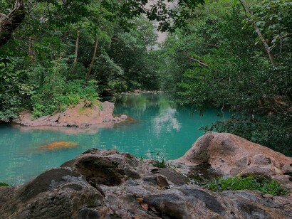 Província de Guanacaste, Costa Rica. Pense nas trilhas verdes e sinuosas, com o som das folhas secas estalando sob seus pés e com animais te recepcionando: bichos-preguiça se esgueirando lentamente, iguanas gigantes “solo a mirar”, quatis, guaxinins e  macacos brincalhões observando sua passagem