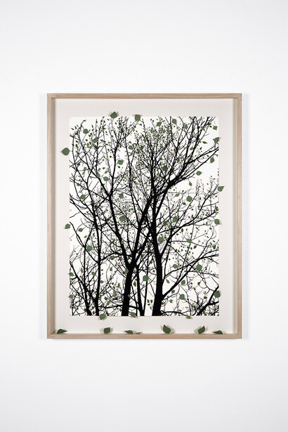 Sabrina Mezzaqui - Il luogo migliore per nascondere una foglia è un bosco (*da Jorge Luis Borges, Il libro di sabbia) 2022-2024, silkscreen on paper with material elements, paper scraps, a poplar leaf, glue, wooden frame and glass, 112 x 89 cm. Photo: Ela Bialkowska, OKNO Studio