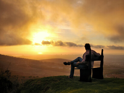 A subdued life