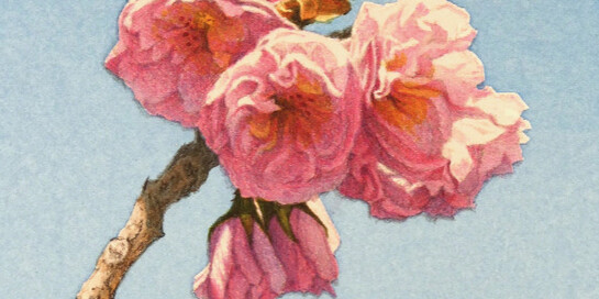 Frederick Brosen. Courtesy of Garvey|Simon 