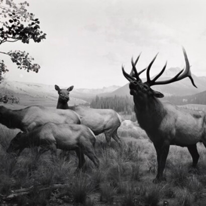 Hiroshi Sugimoto. Courtesy of Tel Aviv Museum of Art
