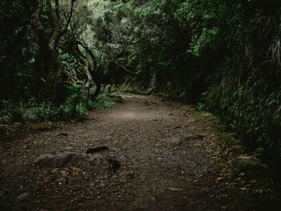 Desde muito jovem, Anabel sempre gostou de viajar com a família. Sua primeira lembrança de uma viagem incrível datava dos seus 4 anos de idade, quando sua mãe, seu pai, seus dois irmãos e sua tia viajaram para Curitiba, todos juntos em uma van. Ela se lembra de como gostava dos preparativos, da programação do que seria feito em cada dia, dos jogos no carro, da proximidade com outros parentes



