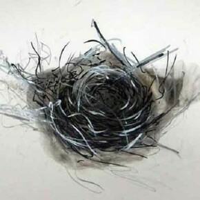 Wayne Zebzda, Nest 1 , 2010, 14 x 14 in, Carbon Smoke, Ink, graphite on Paper