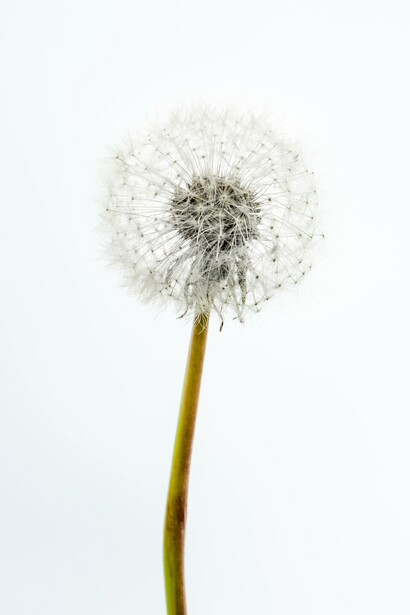 Considerar a natureza como totalmente consumível foi um processo histórico de
autodestruição