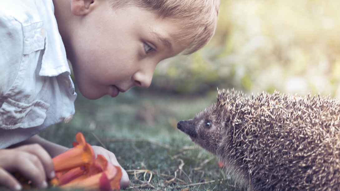 Learn from the nature