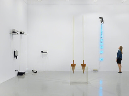 Arte Povera. Courtesy of Hauser & Wirth