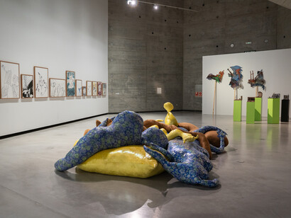 Cecilia Bengolea, El ruido que habita, vista de exhibición. Cortesía del artista. C3A. Fotografía por XX