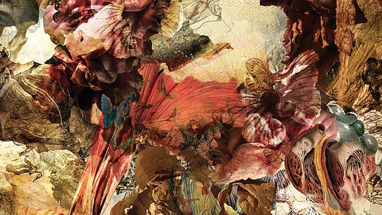 Field Works. Courtesy of Berlin Blue 