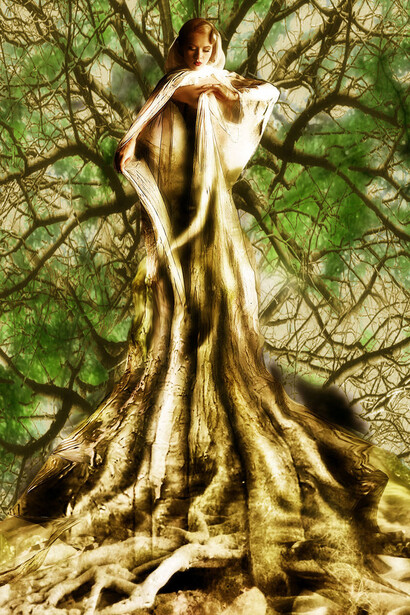 La Donna albero