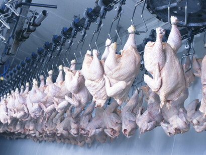 Industria di trasformazione e lavorazione della carne