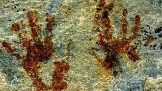 Graffiti - Boscimani © Survival