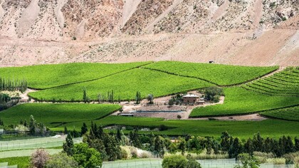 Elqui-Tal, Chile