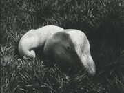 Barry Flanagan, Untitled (carving no. 1 83), 1983, travertine (Tuscany), 71.8 x 151.1 x 78 cm, © The Estate of Barry Flanagan, 2015