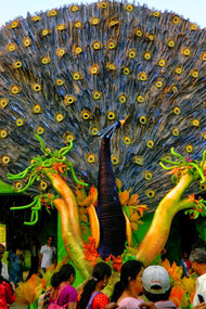Jagadhatri Puja in Chandannagore. Ph. Anunoy Samanta