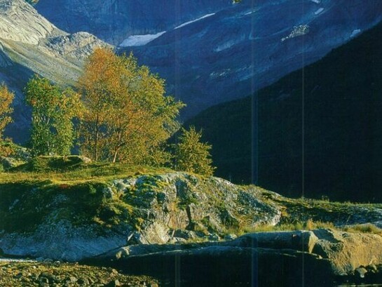 Kerr McIlwraith, Scandinavian Collage 2, 2013
Collage and 24ct gold leaf on paper, 59 x 84cm