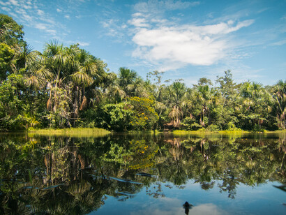 La amazonía peruana
