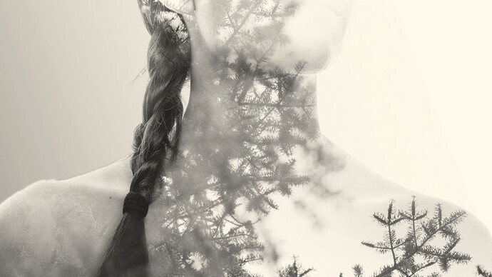 C'est notre histoire. Courtesy of Musée de la civilisation