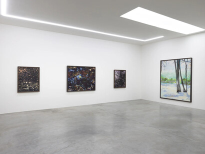 Mads Bryld, Forrest of marks, exhibition view. Courtesy of V1 Gallery
