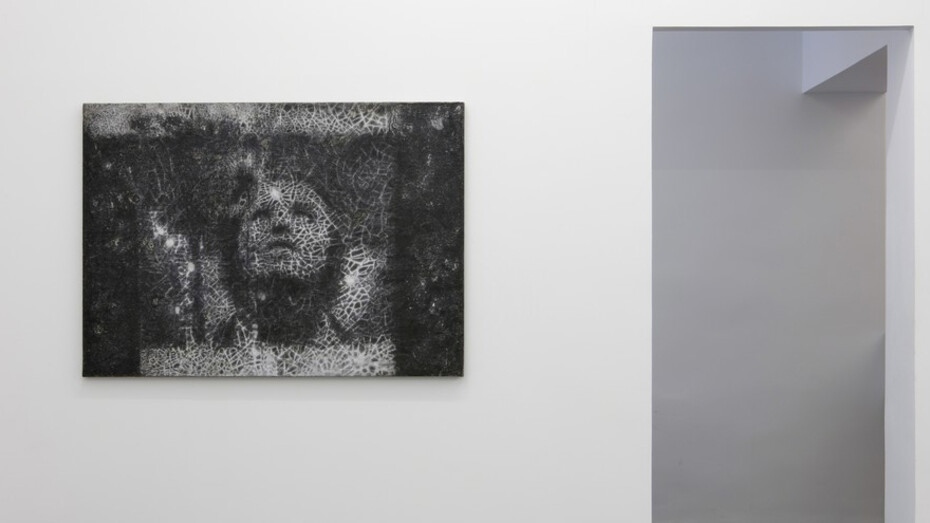 Raha Raissnia. Courtesy of Marta Cervera Gallery
