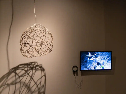 Todo se mueve, vista de exhibición. Cortesía del Museo de Antioquia