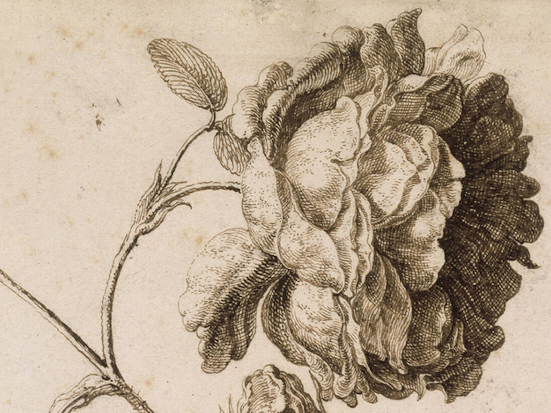 The Charm of the Small. Courtesy of Gemäldegalerie