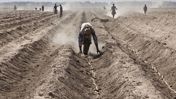Alfredo Bini, Land Grabbing or Land to Investors?