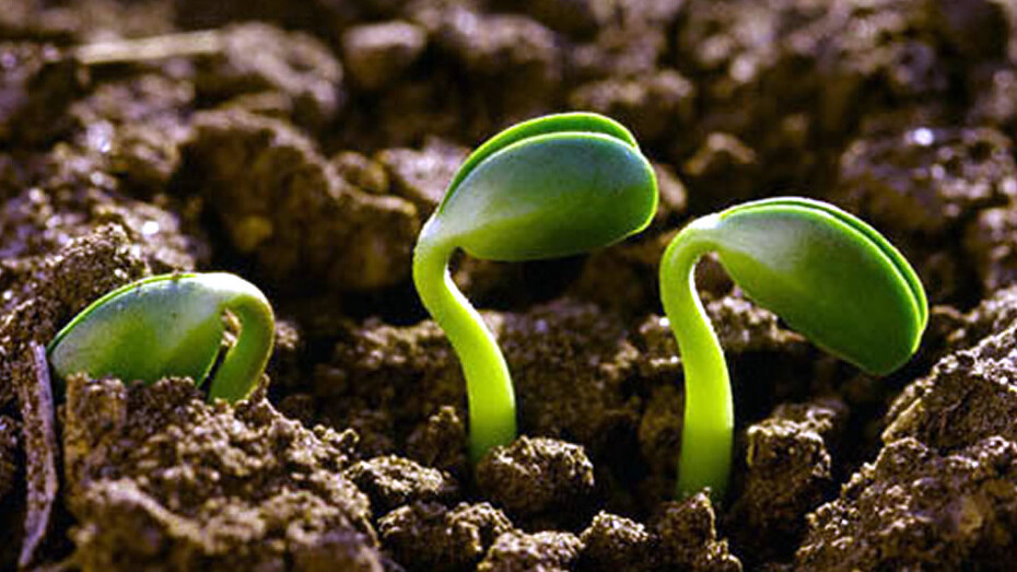 La vita nel rispetto della natura