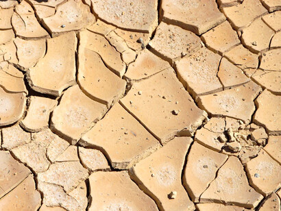 L’interprétation et la conquête de ce nouveau monde immatériel 